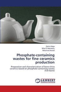 bokomslag Phosphate-containing wastes for fine ceramics production