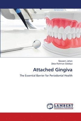 Naseem Jahan, Zeba Rahman Siddiqui - Attached Gingiva, Häftad