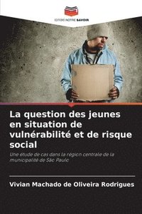 bokomslag La question des jeunes en situation de vulnrabilit et de risque social