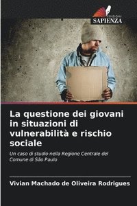 bokomslag La questione dei giovani in situazioni di vulnerabilit e rischio sociale