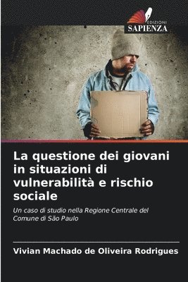 La questione dei giovani in situazioni di vulnerabilit e rischio sociale 1