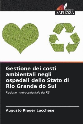Augusto Rieger Lucchese - Gestione dei costi ambientali negli ospedali dello Stato di Rio Grande do Sul, Häftad