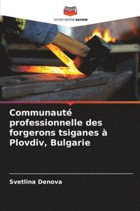 bokomslag Communaut professionnelle des forgerons tsiganes  Plovdiv, Bulgarie