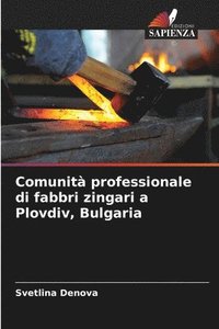 bokomslag Comunità professionale di fabbri zingari a Plovdiv, Bulgaria