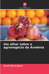 bokomslag Um olhar sobre o agronegcio da Armnia