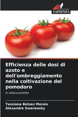 Efficienza delle dosi di azoto e dell'ombreggiamento nella coltivazione del pomodoro 1