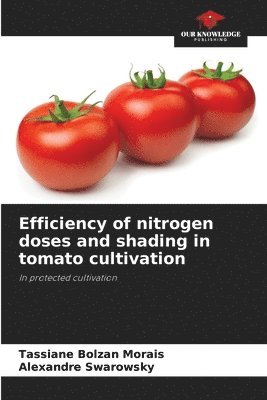 bokomslag Efficiency of nitrogen doses and shading in tomato cultivation