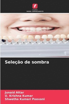 Seleção de sombra 1