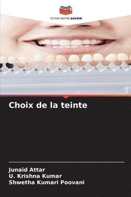 Choix de la teinte 1