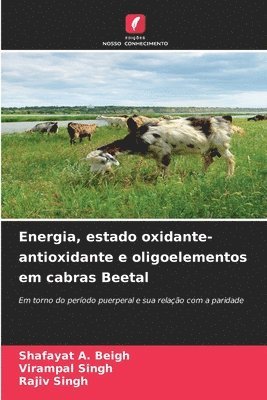 Shafayat A Beigh, Virampal Singh, Rajiv Singh - Energia, estado oxidante-antioxidante e oligoelementos em cabras Beetal, Häftad