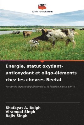 Shafayat A Beigh, Virampal Singh, Rajiv Singh, Shafayat A. Beigh - Énergie, statut oxydant-antioxydant et oligo-éléments chez les chèvres Beetal, Häftad