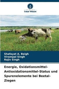 bokomslag Energie, Oxidationsmittel-Antioxidationsmittel-Status und Spurenelemente bei Beetal-Ziegen