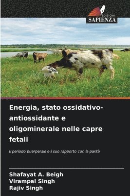 bokomslag Energia, stato ossidativo-antiossidante e oligominerale nelle capre fetali