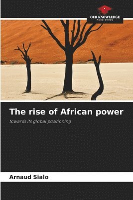 bokomslag The rise of African power