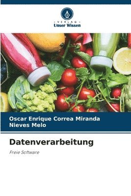 bokomslag Datenverarbeitung