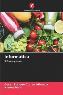 bokomslag Informtica