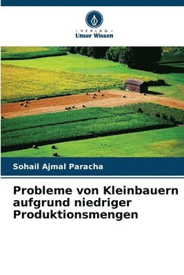 Probleme von Kleinbauern aufgrund niedriger Produktionsmengen 1