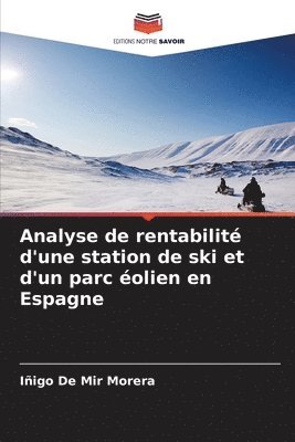 bokomslag Analyse de rentabilit d'une station de ski et d'un parc olien en Espagne