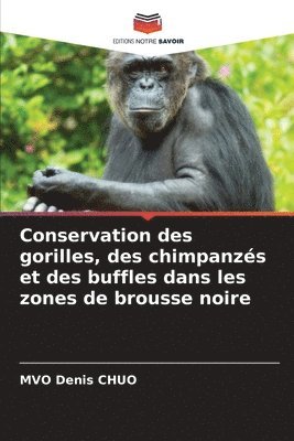 bokomslag Conservation des gorilles, des chimpanzs et des buffles dans les zones de brousse noire