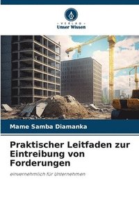 bokomslag Praktischer Leitfaden zur Eintreibung von Forderungen