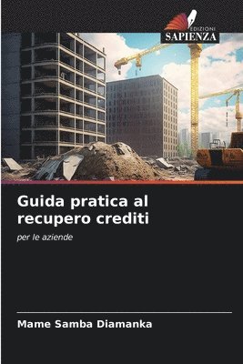 bokomslag Guida pratica al recupero crediti