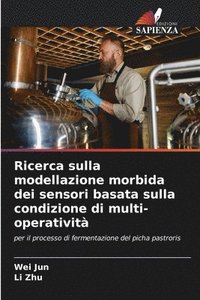 bokomslag Ricerca sulla modellazione morbida dei sensori basata sulla condizione di multi-operativit