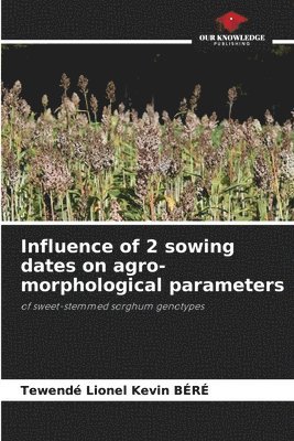 Influence of 2 sowing dates on agro-morphological parameters