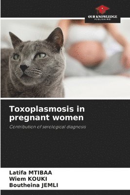 bokomslag Toxoplasmosis in pregnant women