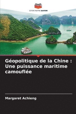 Gopolitique de la Chine 1