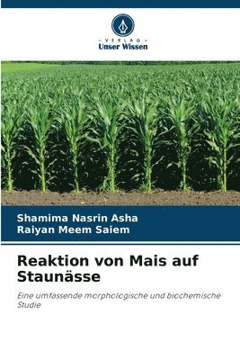 bokomslag Reaktion von Mais auf Staunässe