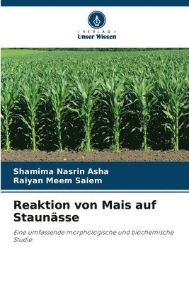 bokomslag Reaktion von Mais auf Staunsse