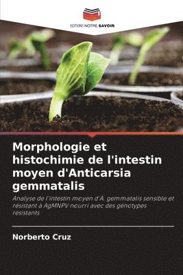 bokomslag Morphologie et histochimie de l'intestin moyen d'Anticarsia gemmatalis