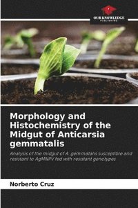 bokomslag Morphology and Histochemistry of the Midgut of Anticarsia gemmatalis