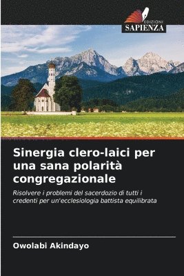 bokomslag Sinergia clero-laici per una sana polarità congregazionale