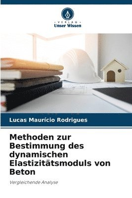 Lucas Maurício Rodrigues - Methoden zur Bestimmung des dynamischen Elastizitätsmoduls von Beton, Häftad