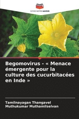 Begomovirus - Menace émergente pour la culture des cucurbitacées en Inde 1