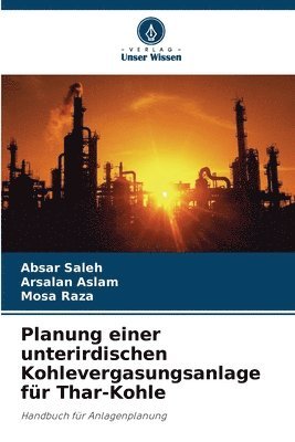 Absar Saleh, Arsalan Aslam, Mosa Raza - Planung einer unterirdischen Kohlevergasungsanlage für Thar-Kohle, Häftad