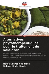 bokomslag Alternatives phytothrapeutiques pour le traitement du kala-azar