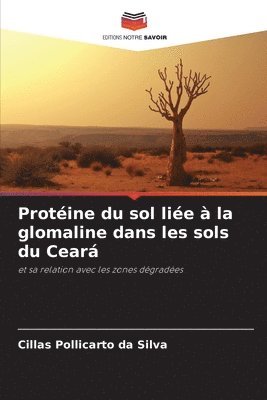 Protine du sol lie  la glomaline dans les sols du Cear 1