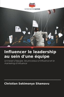 Influencer le leadership au sein d'une équipe 1