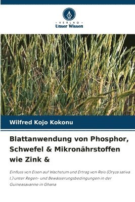 bokomslag Blattanwendung von Phosphor, Schwefel & Mikronährstoffen wie Zink &