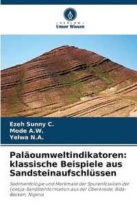 bokomslag Paloumweltindikatoren