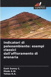 bokomslag Indicatori di paleoambiente: esempi classici dall'affioramento di arenaria