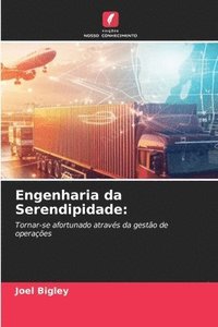 bokomslag Engenharia da Serendipidade