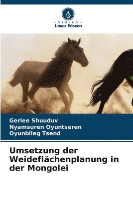 Umsetzung der Weideflächenplanung in der Mongolei 1