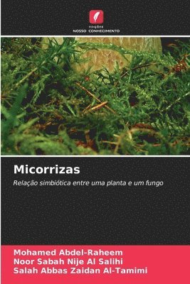 bokomslag Micorrizas