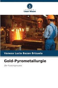 bokomslag Gold-Pyrometallurgie