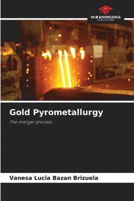 Vanesa Lucia Bazan Brizuela - Gold Pyrometallurgy, Häftad