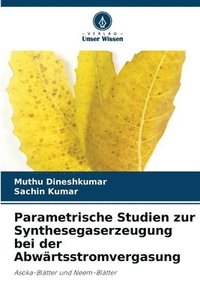 bokomslag Parametrische Studien zur Synthesegaserzeugung bei der Abwärtsstromvergasung