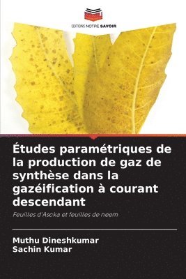 Études paramétriques de la production de gaz de synthèse dans la gazéification à courant descendant